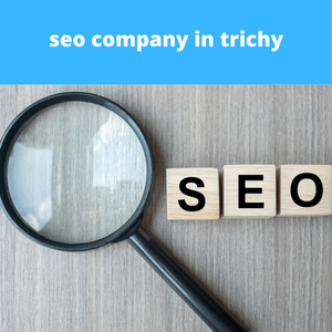 Read more about the article seo company in trichy